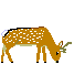 sika-natu-l.gif